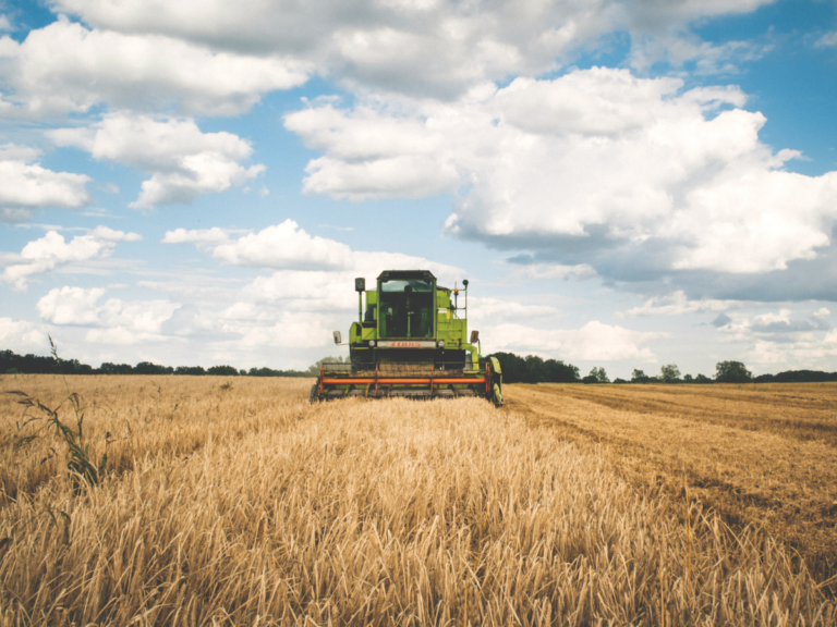 Agriculture traditionnelle vs. agriculture de conservation : Un nouveau paradigme pour l’avenir